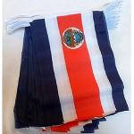 AZ FLAG - Guirlande Drapeau Costa Rica - 6 Mètres avec 20 Fanions Costaricain De 21x14 cm - Petits Drapeaux 100% Polyester - 60g
