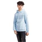 Sweats à capuche bleues claires à motif Amsterdam enfant Taille 16 ans 
