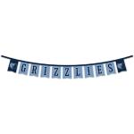 Bannière Memphis Grizzlies avec fanions