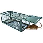 Cages à motif animaux pour rat 