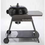 Barbecues gris acier en acier au charbon 