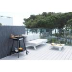 Barbecues de table Barbecook 