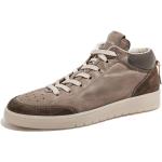 Barracuda - Shoes > Sneakers - Brown -