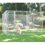 Cages en acier à motif chiens pour chien en promo 