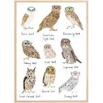 Bildverkstad Owls In Glasses Print Poster (100x140 cm)