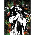 Tableaux sur toile Pyramid International multicolores Bob Marley 