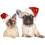 Bonnet de Noël pour chien et chat Taille M 11 cm