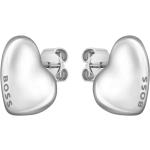 Boucles d'oreilles argentées en acier en argent 