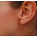 Boucles d'oreilles en or en or 18 carats 