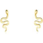 Boucles d'oreilles en or Histoire d'Or dorées en or jaune à motif serpents pour femme 