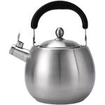 Bouilloire sifflante en acier inoxydable 3,5 L, bouilloire à thé, bouilloire  sifflante, induction, adaptée aux cuisinières à induction, boui