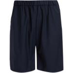 Brian Dales - Shorts > Casual Shorts - Blue -