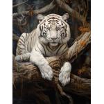 Tapis transparents en toile à motif tigres pour enfant 