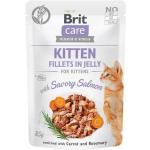 Nourriture Brit care pour chat chaton 