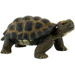 Figurines d'animaux Bullyland en plastique à motif tortues de 13 cm de zoo sans PVC de 3 à 5 ans 