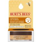 Gommages lèvres Burts Bees 