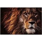 Cadres photos Paris Prix marron à motif lions 100x150 modernes en promo 
