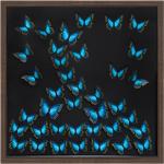 Tableaux Atmosphera multicolores à motif papillons 