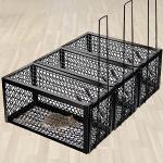 Cages en fer à motif animaux pour rat 