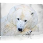 Posters Pixxprint blancs en pin à motif ours 