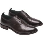 Calpierre - Shoes > Flats > Business Shoes - Brown -