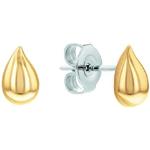 Clous d'oreille, puces d'oreille de créateur Calvin Klein dorés en acier à clous à motif papillons look fashion pour femme 