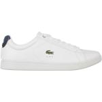 Chaussures de tennis  Lacoste Carnaby vertes made in France look casual pour homme 