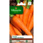 Graines de carotte Vilmorin marron 