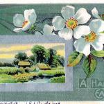 Cartes postales anciennes en papier 