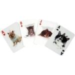 Kikkerland kkgg38 jeu de cartes chats 3d…