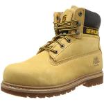 Cat Footwear Homme Holton Sb Fo Hro Src Chaussures