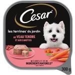 Cesar Les Inspirations du Jardin - Barquettes de veau en terrine pour chien adulte, 20 barquettes de 300g