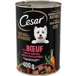 Nourriture Cesar pour chien en lot de 6 