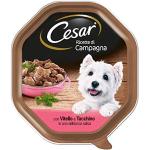 Nourriture Cesar pour chien en lot de 14 