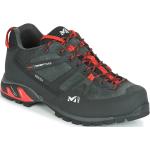 Chaussures trekking MILLET Trident Guide GTX (Tarmac) homme 44 2/3 (10 UK)