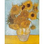 Puzzles Clementoni Van Gogh 1.000 pièces plus de 12 ans en promo 