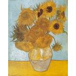 Puzzles Clementoni à motif fleurs Van Gogh 1.000 pièces plus de 12 ans 