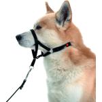 Collier déducation Dog Control type Halti Dog Contol | Type de race : Dog Contol 2 / XS