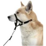 Collier déducation Dog Control type Halti Dog Contol | Type de race : Dog Contol 4 / M