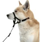 Collier déducation Dog Control type Halti Dog Contol | Type de race : Dog Contol 6 / XL