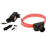 Colliers Dogtra pour chien Taille L 