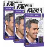 Colorations Just For Men grises pour cheveux vitamine E sans ammoniaque pour homme 