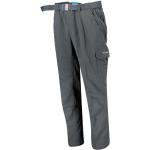 Pantalons de randonnée Columbia Silver Ridge gris Taille XS pour homme 
