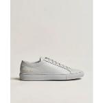 Baskets  Common Projects grises 
