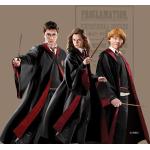 Coussins déco marron en polyester Harry Potter Hermione Granger 40x40 cm pour enfant 