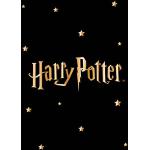 Harry Potter Couverture de Haute qualité Unisexe pour Adulte en