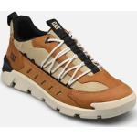 Chaussures Caterpillar marron en cuir Pointure 42 pour homme 