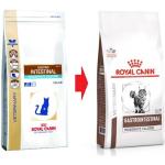 Friandises Royal Canin Veterinary Diet pour chat 
