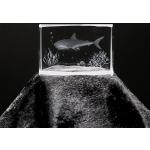 Verres en cristal blancs en verre à motif requins 