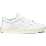 Cult - Shoes > Sneakers - White -